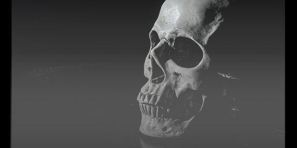 Dark image featuring a fading skull.
